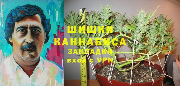 хмурый Костерёво