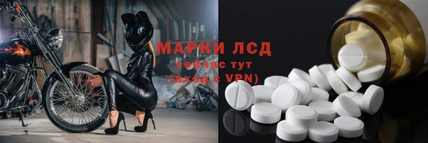индика Краснотурьинск