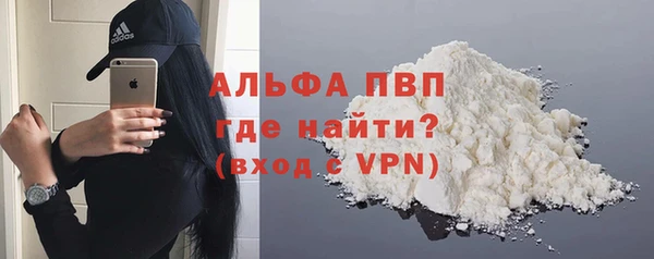 сатива Корсаков