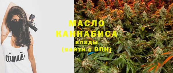 сатива Корсаков