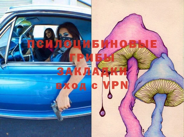 индика Краснотурьинск