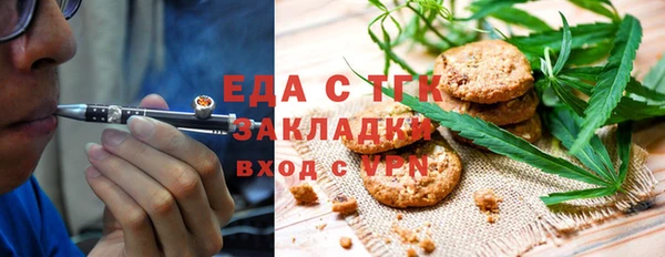индика Краснотурьинск