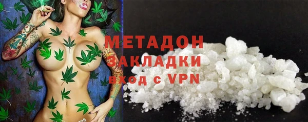 индика Краснотурьинск