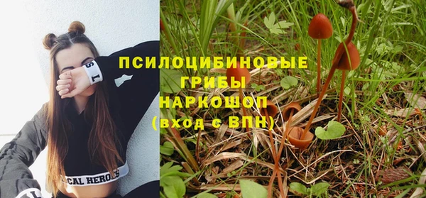 гидра Куйбышев